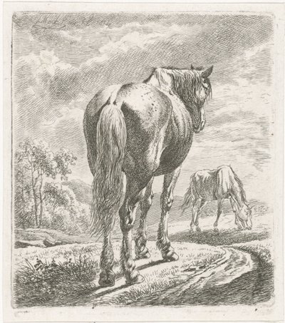 Hest set bagfra af Johannes Mock