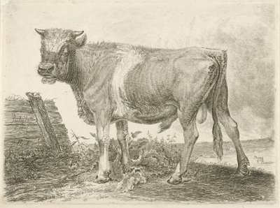Stier af Johannes Mock