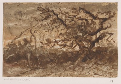 Træ ved solnedgang af Johannes Tavenraat (signed by artist)