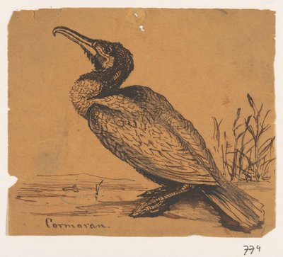 Skarv Cormoran (titel på objekt) af Johannes Tavenraat