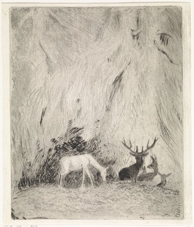 Hjorte i en bøhmisk skov af Johannes Tavenraat