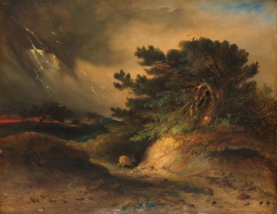 Tordenvejret Tordenvejret af Johannes Tavenraat
