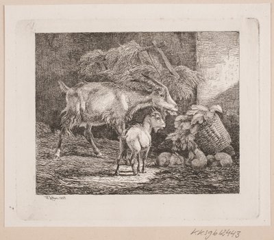 En ged, et kid og kaniner i en stald af Johannes Wilhelm Zillen