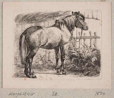 En hest med grime af Johannes Wilhelm Zillen