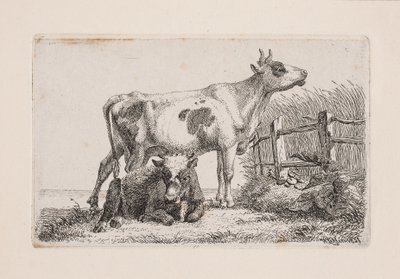 En hvilende og en stående ko af Johannes Wilhelm Zillen