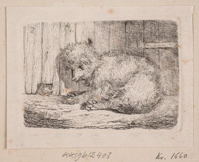 En langhåret hund af Johannes Wilhelm Zillen