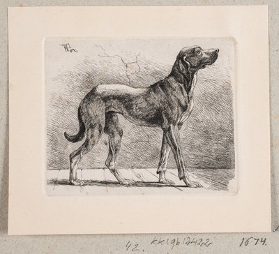 En stående hund af Johannes Wilhelm Zillen