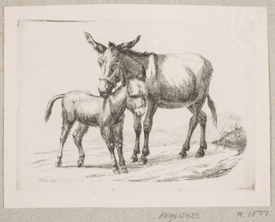 Et æsel med sit føl af Johannes Wilhelm Zillen