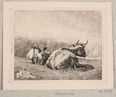 To hvilende køer af Johannes Wilhelm Zillen