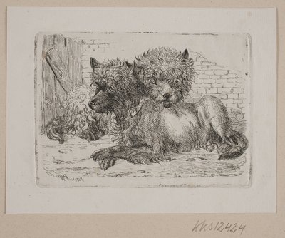 To liggende hunde af Johannes Wilhelm Zillen