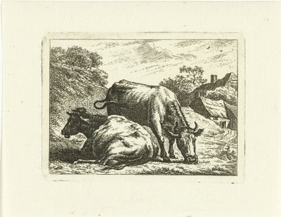 To køer langs vejen ved gården af Johannes van Cuylenburgh