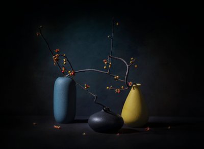 Elegant stilleben med grene af John-Mei Zhong