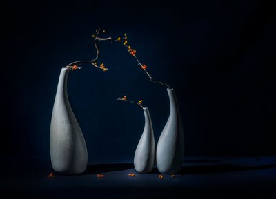 Elegante vaser med blomster af John-Mei Zhong