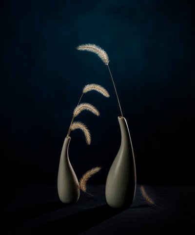 Moody botaniske vaser af John-Mei Zhong