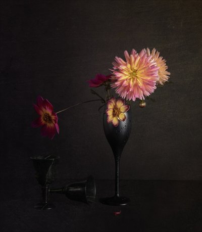 Stilleben med en melankolsk dahlia af John-Mei Zhong