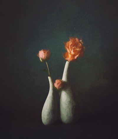 Moody Rose-vaser af John-Mei Zhong