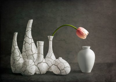 Rosa tulipanvaser med revner af John-Mei Zhong
