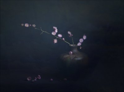Stilleben med blomstrende blomme af John-Mei Zhong