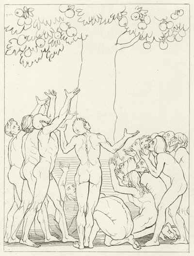 The Intempate, Skærsilden, Canto 24 (gravering) af John (after) Flaxman