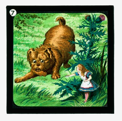 Alice i Eventyrland, farvede lanterneglas (lanternerutsjebane) af John (after) Tenniel