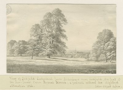 Lichfield Cathedral - Udsigt fra Aldershaw (fjern): sepia-tegning af John Allport