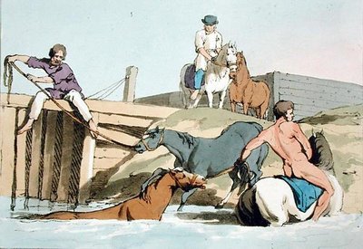 Badende heste, ætset af kunstneren, udgivet 1803 (farvelitografi) af John Augustus Atkinson