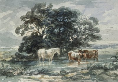 Landskab, to køer og en hest stående i vand, (skitse) af John Barker