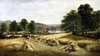 Indsamling af det gyldne korn nær Bishopsteignton, Plymouth af John Barrett
