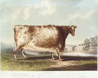 Airedale kvien, graveret af R. Reeve, 1820 (farvegravering) af John Bradley