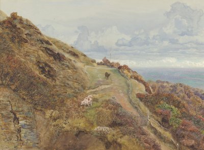 Bonchurch Downs, 1865. af John Brett
