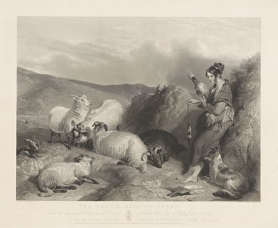 Lassie hyrde får. af John Burnet
