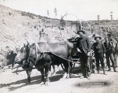 Guldfeber i South Dakota af John C. H. Grabill