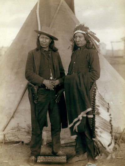 Rød sky og amerikansk hest, 1891 af John C. H. Grabill