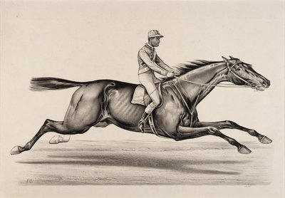 Kejser af Norfolk af John Cameron