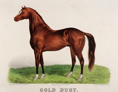 Guldstøv af John Cameron