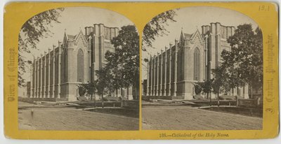 Cathedral of the Holy Name, Chicago, ca. 1870 af John Carbutt