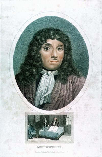 Anton van Leeuwenhoek 1632-1723, hollandsk mikroskopist, c1810 af John Chapman