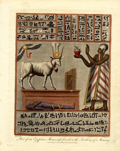 En del af et egyptisk manuskript fundet i en mumies svøb af John Chapman