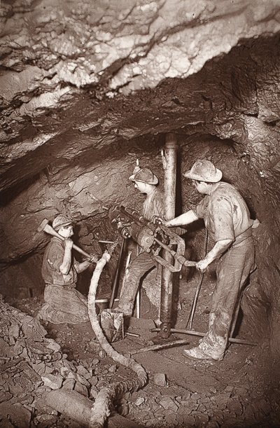 En stenborende ende, East Pool-mine, illustration fra 
