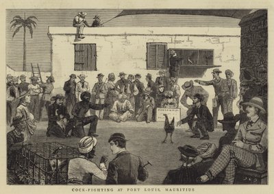 Hanekamp i Port Louis, Mauritius af John Charles Dollman