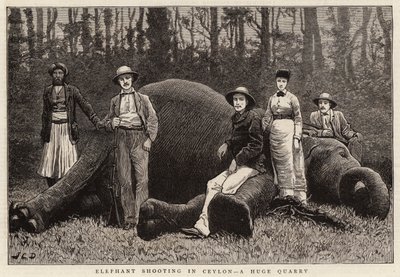 Elefantskydning i Ceylon, et kæmpe stenbrud af John Charles Dollman