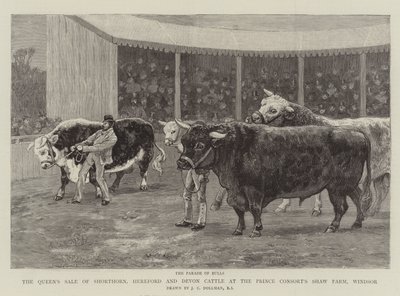 Dronningens salg af Shorthorn, Hereford og Devon Cattle på Prince Consort