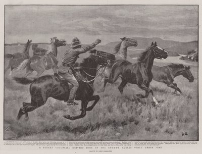 En modig kolonial, der driver nogle af fjendens heste, mens de er under ild af John Charlton