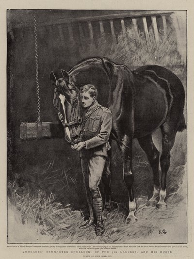 Kammerater, trompetist Shurlock, af 5. Lancer, og hans hest af John Charlton