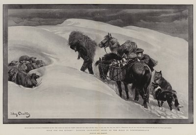 Mad til de sultne, passe snebundne får på bakkerne i Northumberland af John Charlton