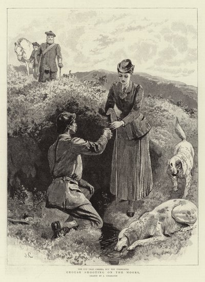 Rypeskydning på maurerne af John Charlton
