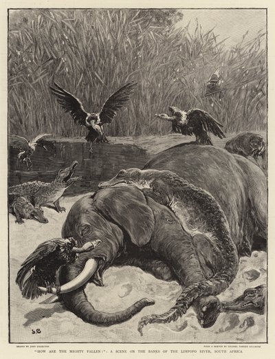 Hvordan er de mægtige faldne!, en scene på bredden af Limpopo-floden, Sydafrika af John Charlton