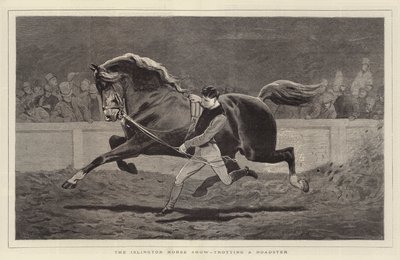 Islington Horse Show, der traver en Roadster af John Charlton