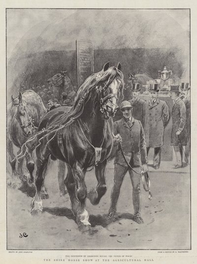 The Shire Horse Show på Landbrugshallen af John Charlton