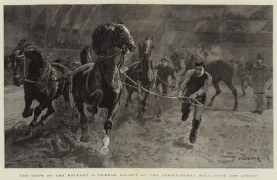 The Show of the Hackney Stud-Book Society på Agricultural Hall, Pace and Action af John Charlton